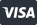 visa card